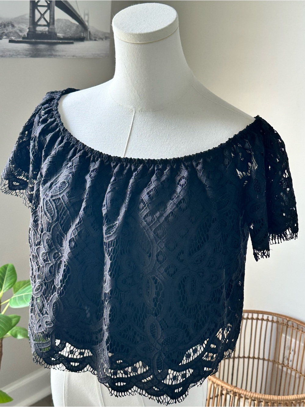 Express Black Lace Off-Shoulder Crop Top